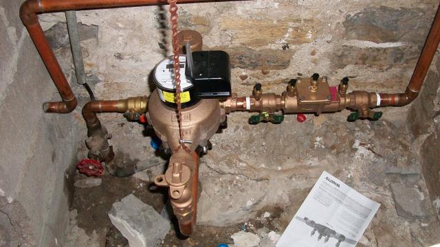 Water meter with double check valve assembly